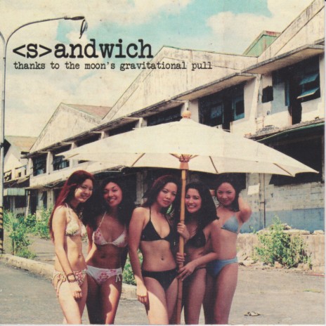Surrounded by Dogs cover art