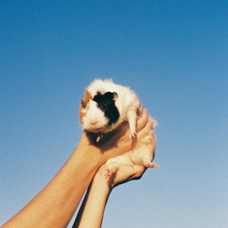 never give up cover art