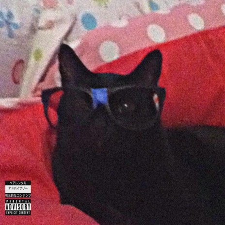 dork cover art