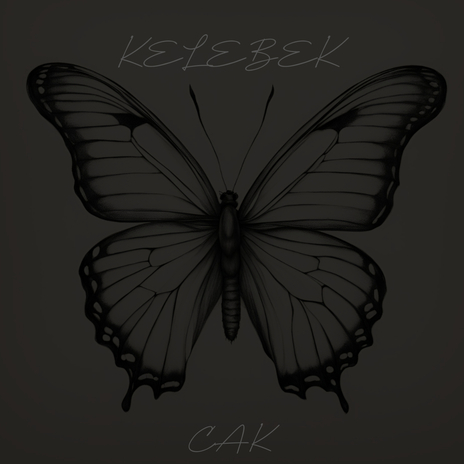 Kelebek cover art