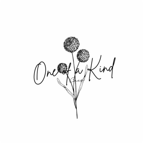 One of a Kind cover art