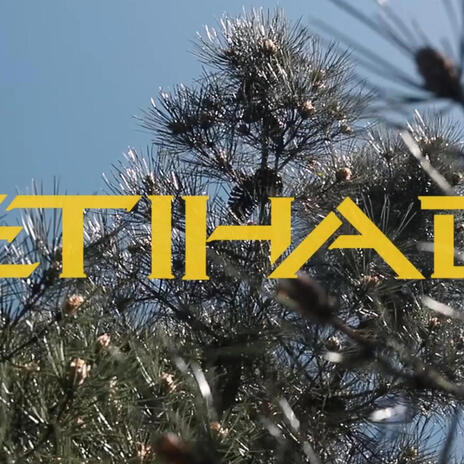 HDLN (ETIHAD) cover art