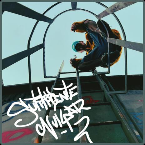 Sutilmente Vulgar RMX cover art