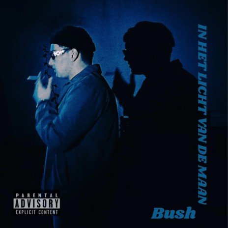 IN HET LICHT VAN DE MAAN cover art