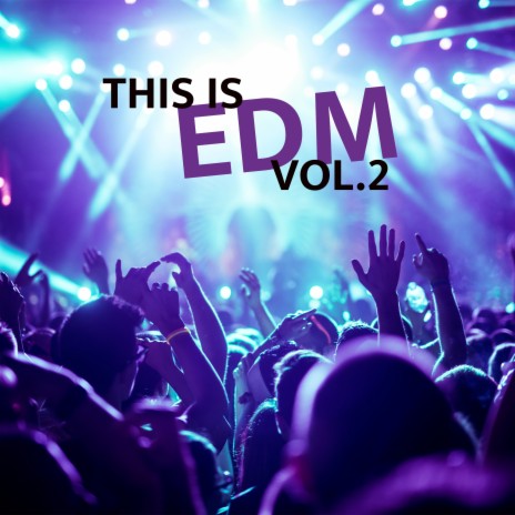 Turn up the Bass ft. Tom Santiago cover art