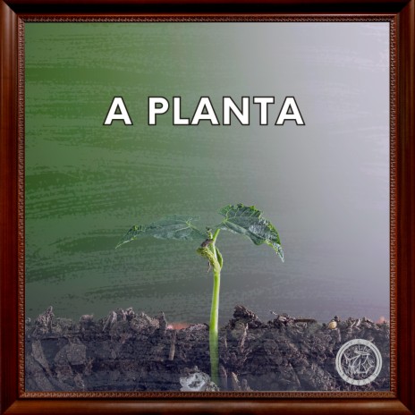 A Planta ft. Canaan & Big cover art