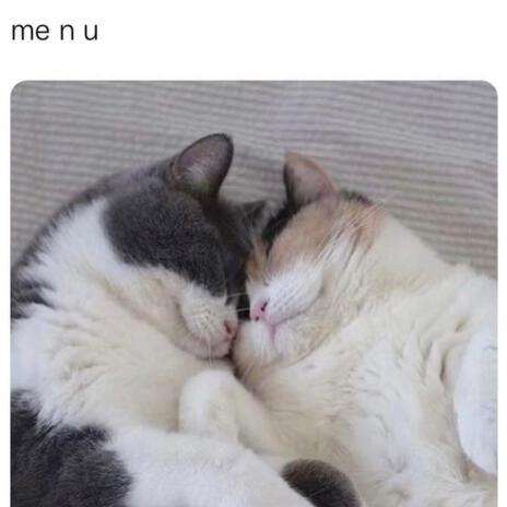 me n u
