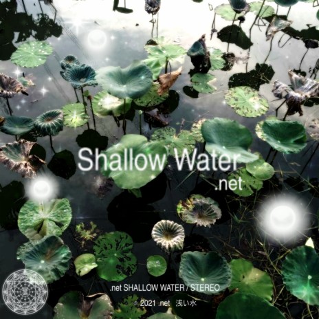 Shallow Water cover art