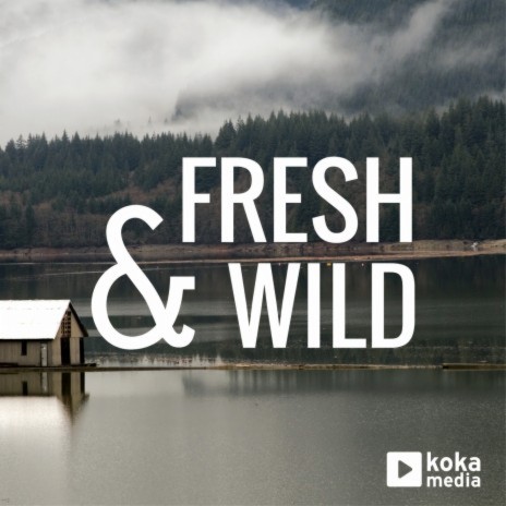 Echo In The Wild ft. Alexandre Prodhomme cover art