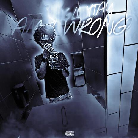Am I Wrong cover art