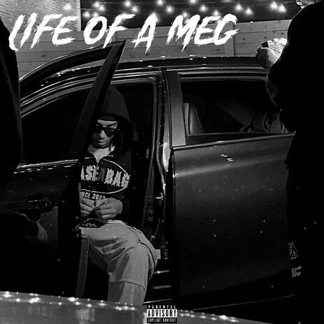 LIFE OF A MEG cover art