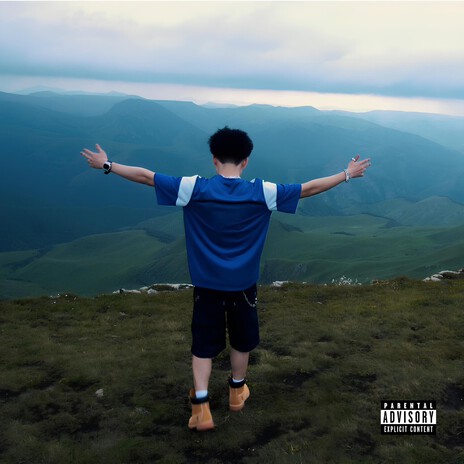 NGƯỜI VIỆT BAY cover art