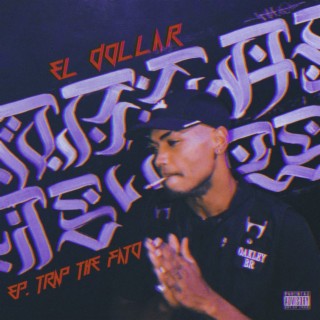 DOLLAR MC