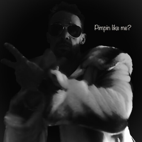 Pimpin like me cover art
