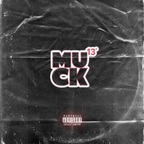 13 cover art