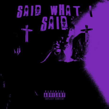 Said What I Said cover art