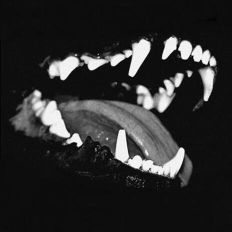 FERAS cover art