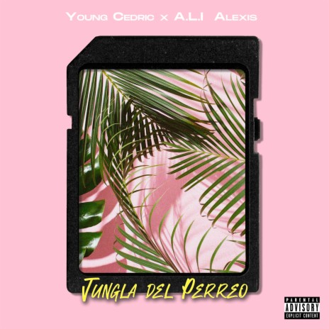 Jungla del Perreo ft. A.L.I Alexis cover art
