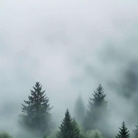 Život je jen jeden ft. Jarek Šimek cover art