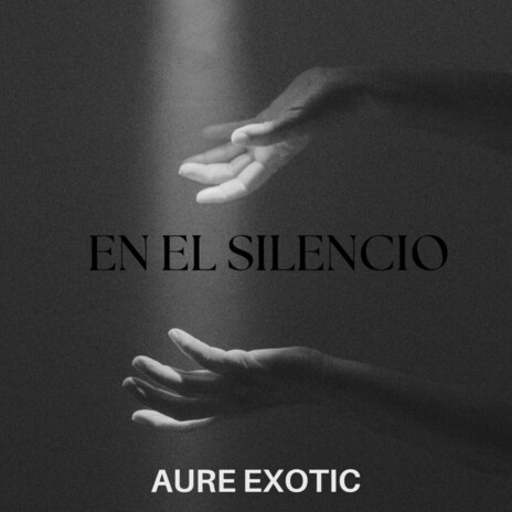 EN EL SILENCIO