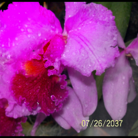 rise