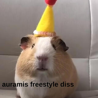 RSOGB