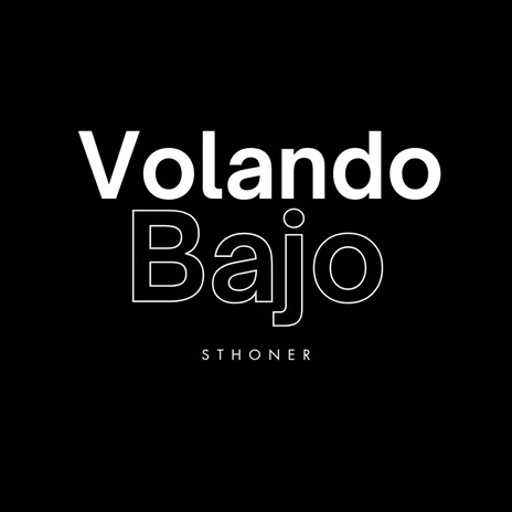 Volando Bajo cover art