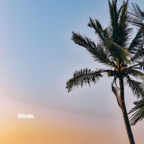 Birds cover art