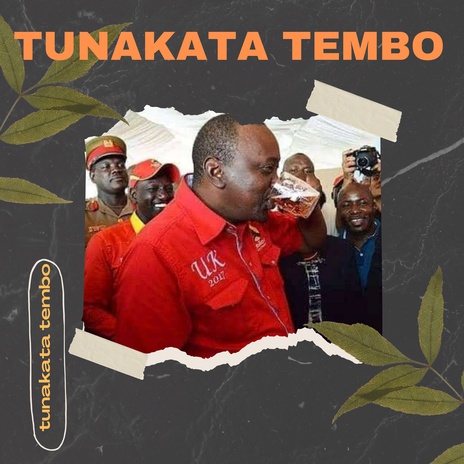 Tunakata Tembo ft. Mc Breezy