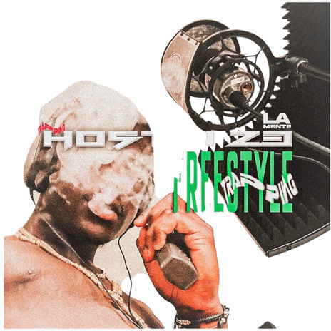 Trapping Freestyle cover art