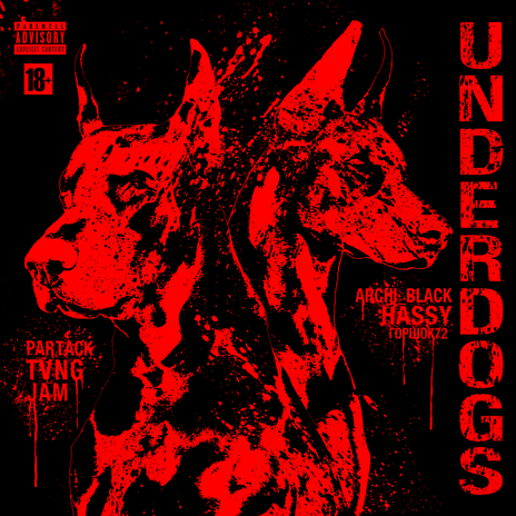 Underdogs ft. TVNG, Горшок72, HASSY, jam72 & ARCHI_BLACK cover art