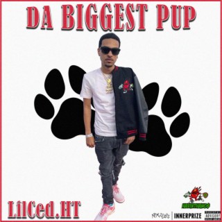 LilCed.HT