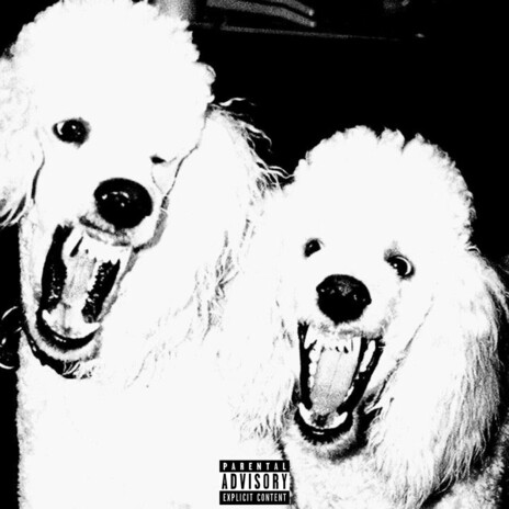 NO SAY! cover art