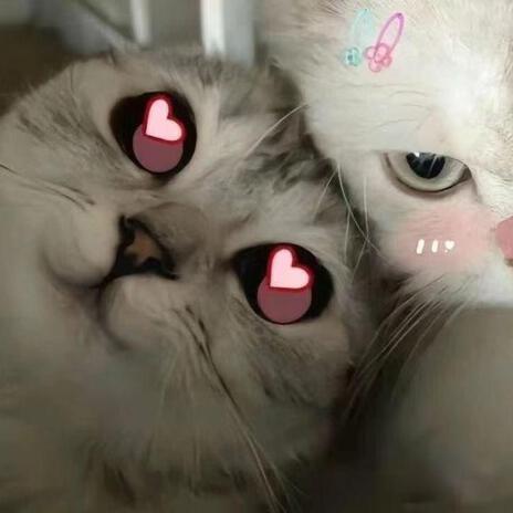 Yu见