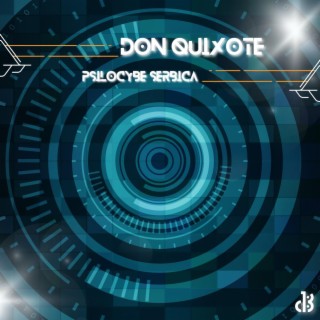 Don Quixote
