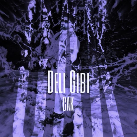 Deli Gibi cover art