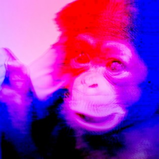 Koba Akai