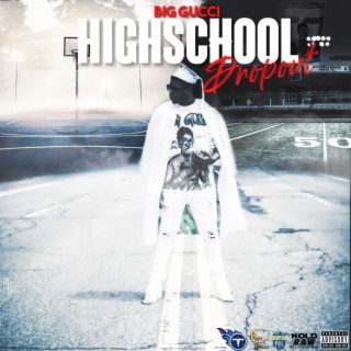HighSchool DropOut