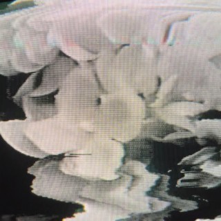 skxllflower