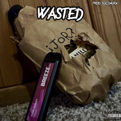Wasted cover art