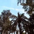 Seville