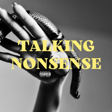 Talking Nonsense ft. beau bloom cover art