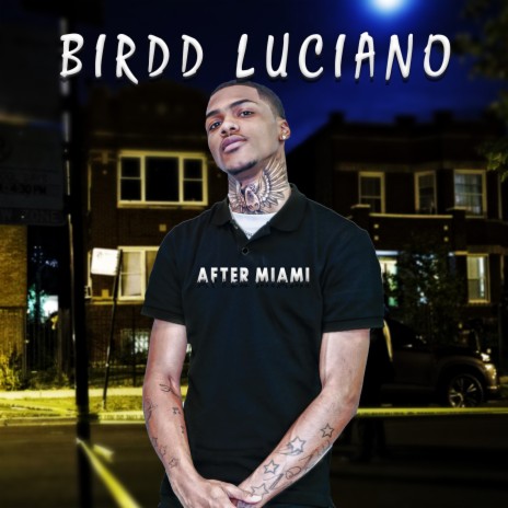 After Miami cover art