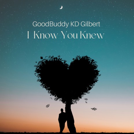 I Know You Knew cover art