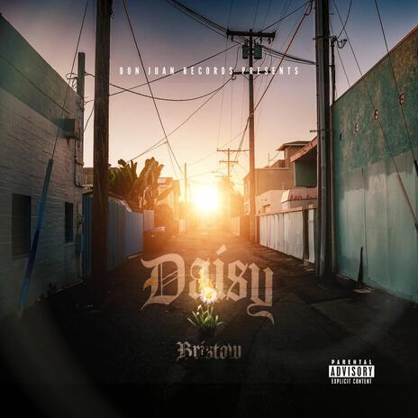 DAISY cover art