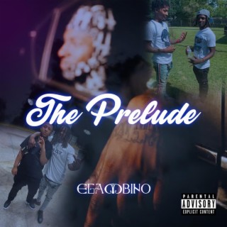 Egambino