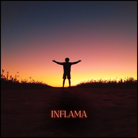Organizar o Ódio cover art