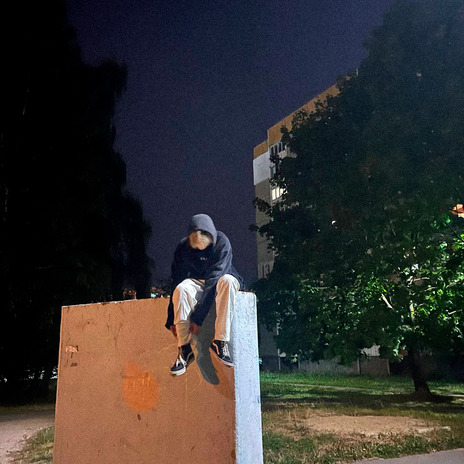 provod cover art