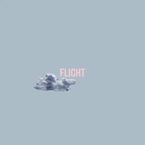 FLIGHT (reference)