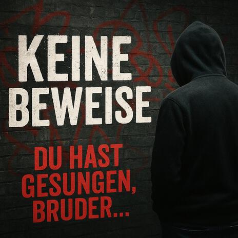 Keine Beweise cover art